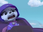 Paw Patrol, la Pat'Patrouille