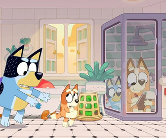 Bluey - 18/05/2026