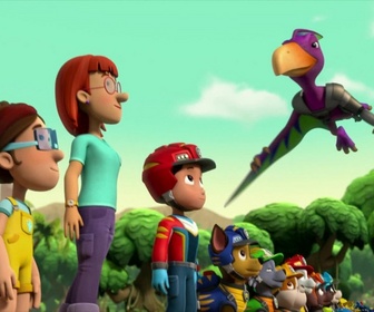 Paw Patrol, la Pat'Patrouille - Mission Dino : Le ptérodactyle