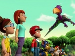 Paw Patrol, la Pat'Patrouille
