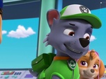 Paw Patrol, la Pat'Patrouille