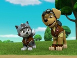 Paw Patrol, la Pat'Patrouille