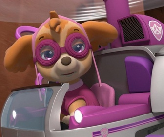 Paw Patrol, la Pat'Patrouille - Monsieur Hellinger, pilote d'hélicoptère