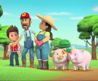 Paw Patrol, la Pat'Patrouille - Le mariage