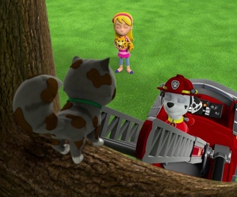 Paw Patrol, la Pat'Patrouille - Le spectacle des chats