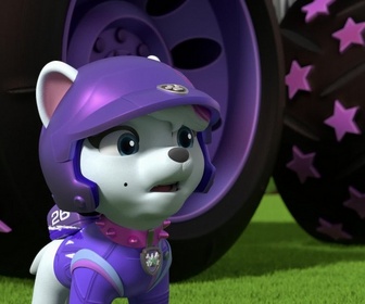 Paw Patrol, la Pat'Patrouille - Mission Tout-Terrain : L'exploration de la grotte