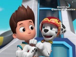 Paw Patrol, la Pat'Patrouille