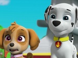 Paw Patrol, la Pat'Patrouille