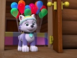 Paw Patrol, la Pat'Patrouille