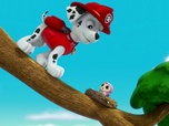 Paw Patrol, la Pat'Patrouille