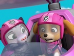 Paw Patrol, la Pat'Patrouille Paw Patrol, la Pat'Patrouille