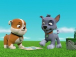 Paw Patrol, la Pat'Patrouille
