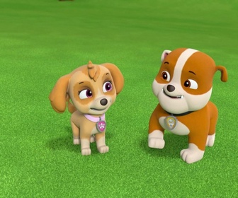Paw Patrol, la Pat'Patrouille - La journée de l'Amitié - 22'