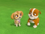 Paw Patrol, la Pat'Patrouille