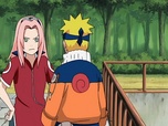 Naruto Shippuden
