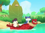 Taki Tanuki