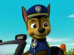 Paw Patrol, la Pat'Patrouille