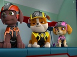 Paw Patrol, la Pat'Patrouille