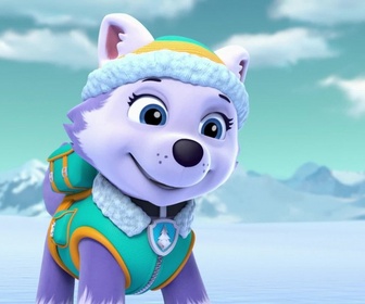 Paw Patrol, la Pat'Patrouille - Le bébé pingouin
