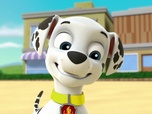 Paw Patrol, la Pat'Patrouille