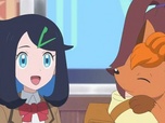 Pokémon Pokémon