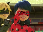 Miraculous : Les Aventures de Ladybug et Chat Noir Miraculous : Les Aventures de Ladybug et Chat Noir