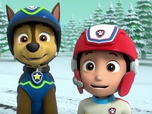 Paw Patrol, la Pat'Patrouille