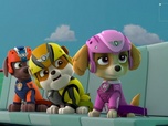 Paw Patrol, la Pat'Patrouille