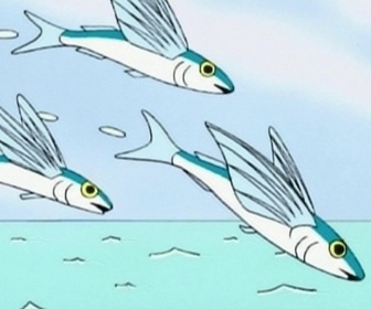 Barbapapa autour du monde - S01 E16 - Le nasique