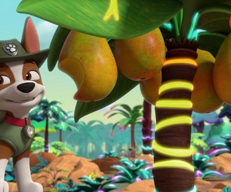 Paw Patrol, la Pat'Patrouille - Mission Jungle : Les fourmis géantes