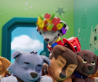 Paw Patrol, la Pat'Patrouille - Le pouvoir des fleurs