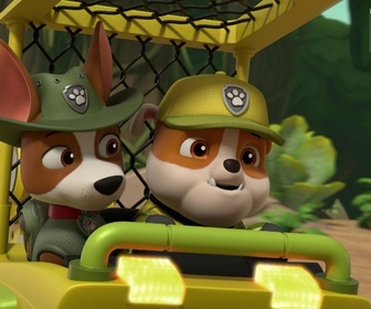 Paw Patrol, la Pat'Patrouille - Un éléphanteau joueur