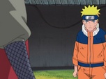 Naruto Shippuden