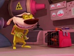 Gnark