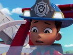 Paw Patrol, la Pat'Patrouille Paw Patrol, la Pat'Patrouille