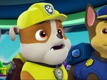 Paw Patrol, la Pat'Patrouille