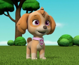 Paw Patrol, la Pat'Patrouille - Katie rejoint la Pat'Patrouille