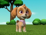 Paw Patrol, la Pat'Patrouille