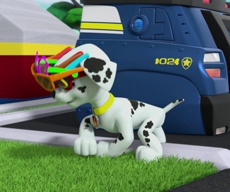 Paw Patrol, la Pat'Patrouille - La Fête avec les Chauves-Souris