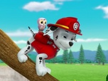 Paw Patrol, la Pat'Patrouille