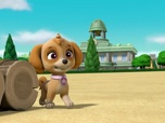 Paw Patrol, la Pat'Patrouille