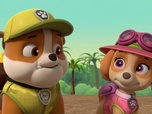 Paw Patrol, la Pat'Patrouille Paw Patrol, la Pat'Patrouille