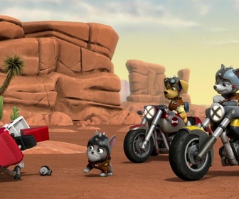 Paw Patrol, la Pat'Patrouille - La Moto Patrouille : La meute des chiens sauvages