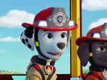 Paw Patrol, la Pat'Patrouille