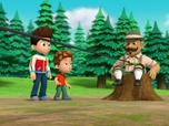 Paw Patrol, la Pat'Patrouille