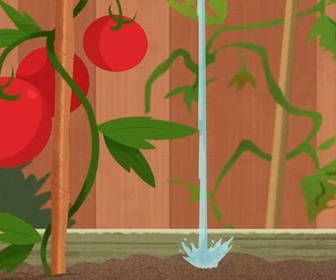 Les sisters - Famille de talents