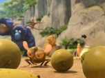 Les as de la jungle à la rescousse