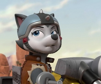 Paw Patrol, la Pat'Patrouille - Super Chats : le vol du masque en or