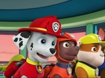 Paw Patrol, la Pat'Patrouille