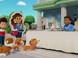 Paw Patrol, la Pat'Patrouille Paw Patrol, la Pat'Patrouille